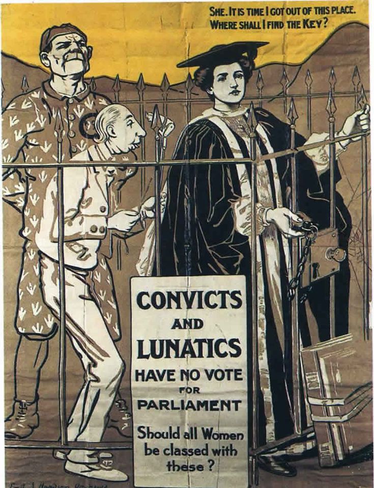 COnvicts and lunatics suffragettes .jpg